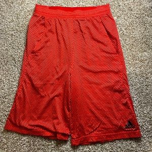 Adidas Shorts Size Kids Large